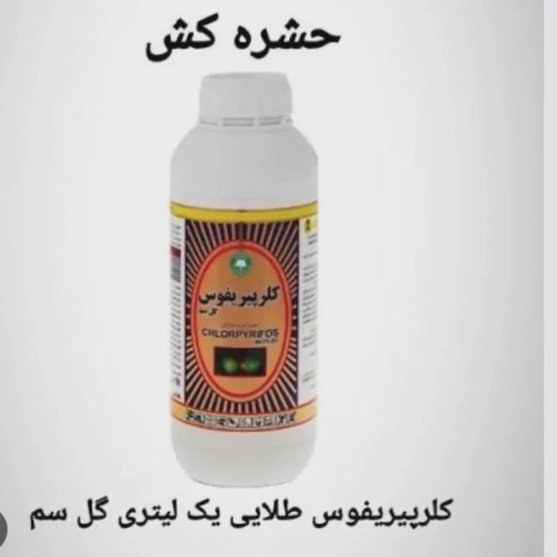 سم حشره کش کلر پیر یفوس قدرتمند