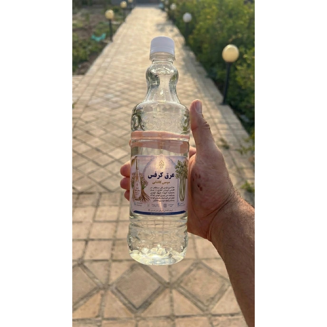 عرق کرفس گلاب میثم کاشان خالص، تازه و باکیفیت