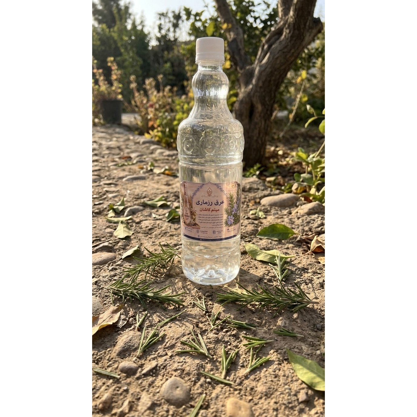 عرق رزماری گلاب میثم کاشان خوش عطر، خالص و باکیفیتجدید