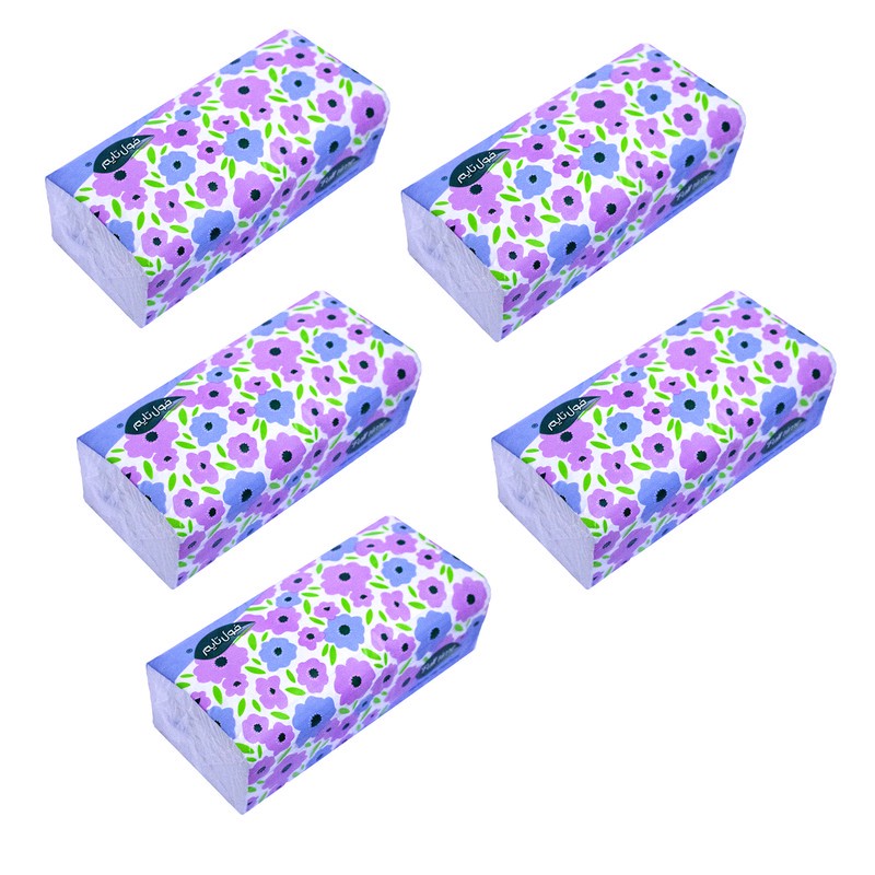 دستمال کاغذی 250 برگ فول تایم مدل دولایه اقتصادی کد M95 بسته 5 عددی