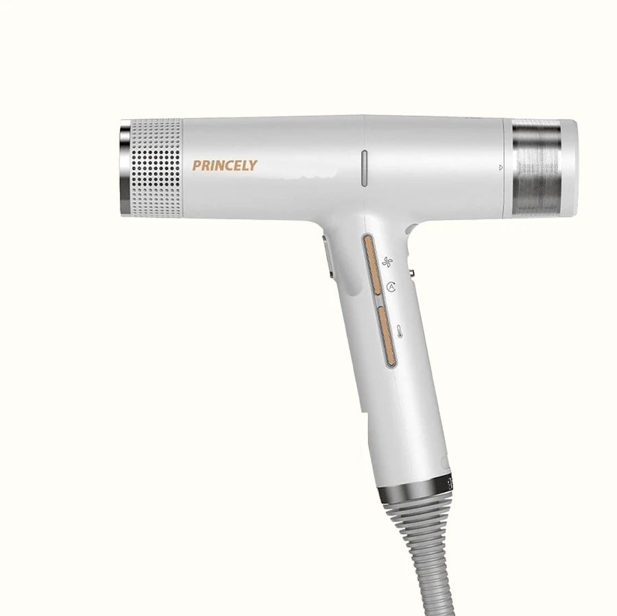 سشوار حرفه ای سالنی موتور جت PR282AT پرنسلی 2000 وات