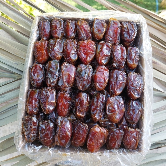 خرما کبکاب دشتستان(دستچین شده) کارتن