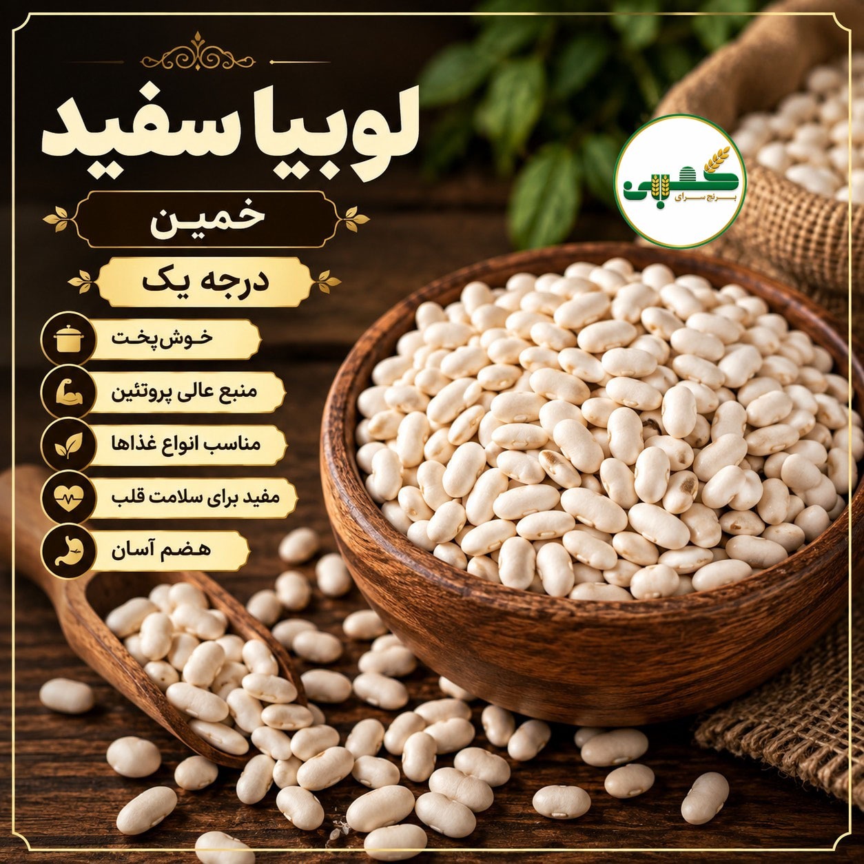 لوبیا سفید درجه یک خمین