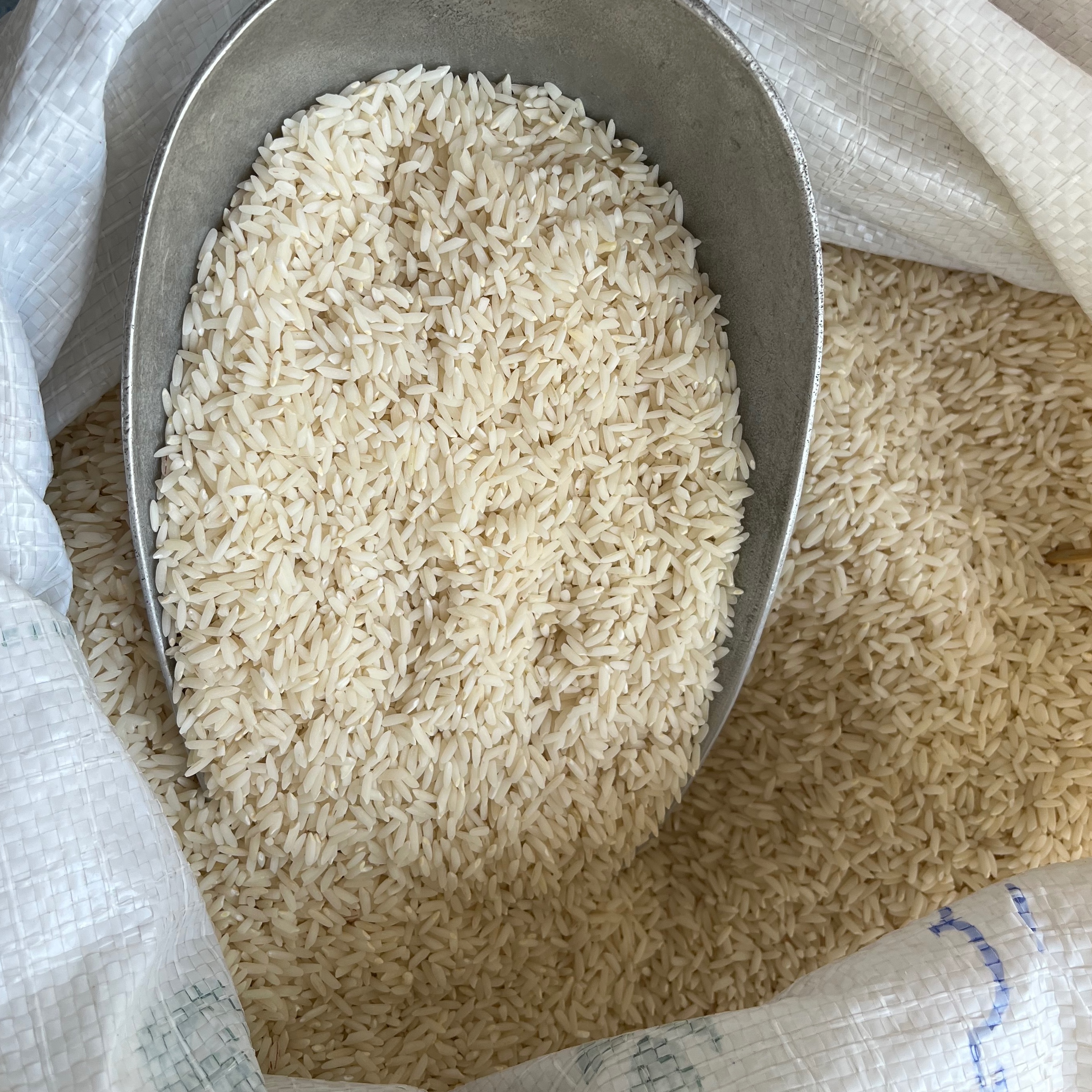 برنج ارگانیک چمپای شوشتر