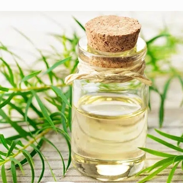 روغن درخت چای60 میل