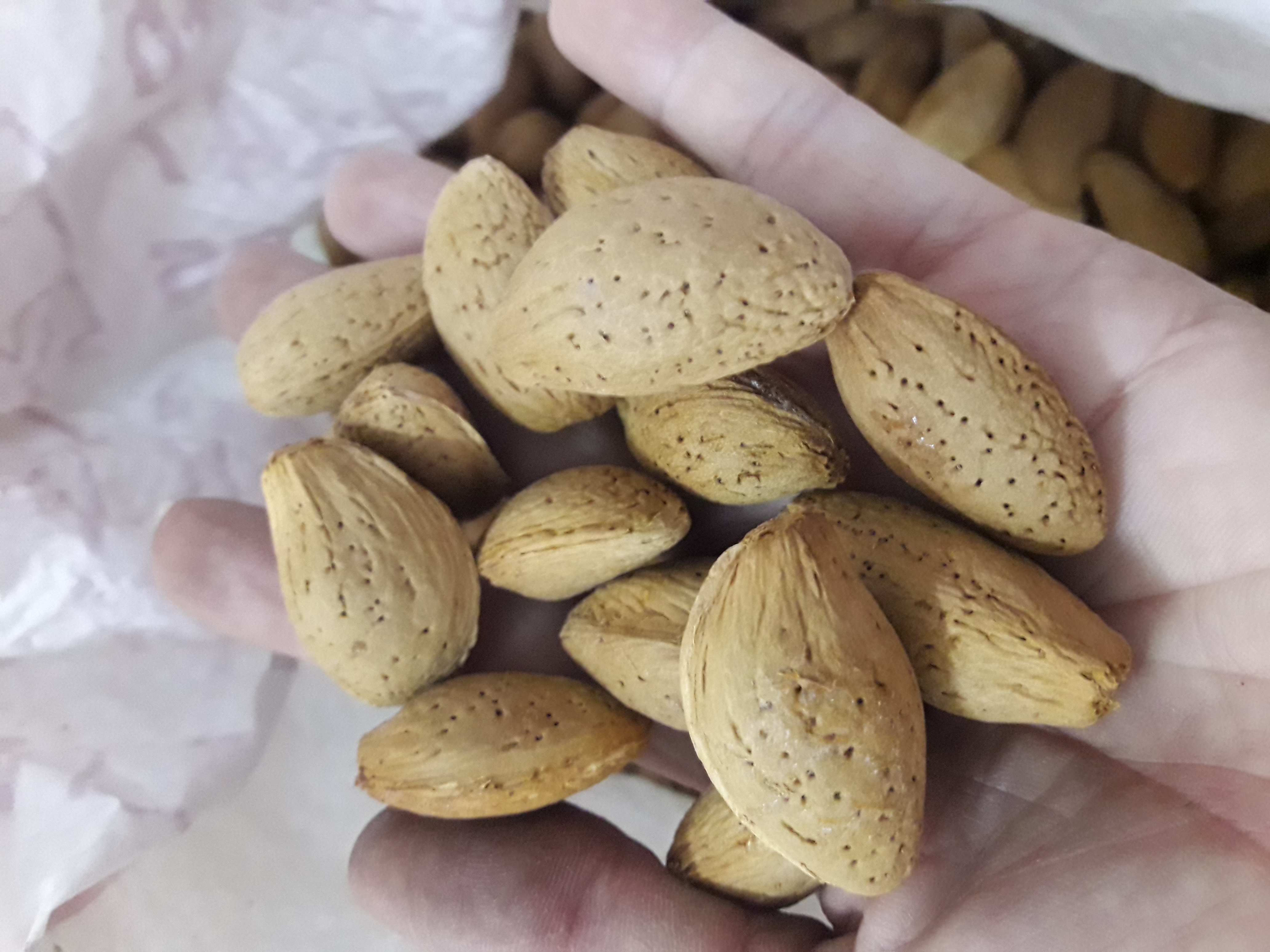 بادام مامایی سایز متوسط امسالی(یک کیلویی)