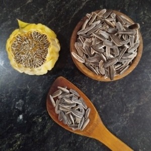 تخمه آفتابگردون خام