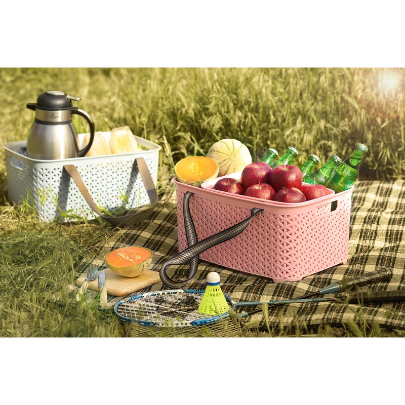 سبد پیک نیک آریاسام کد 260