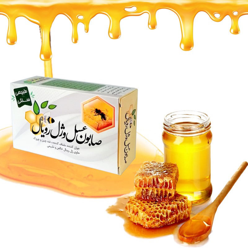 صابون شستشو ارمغان سلامت مدل عسل و ژل رویال وزن 85 گرم