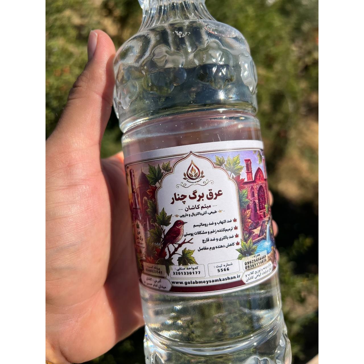 خرید عرق برگ چنار میثم کاشان عرق گیاهی خالص و باکیفیت