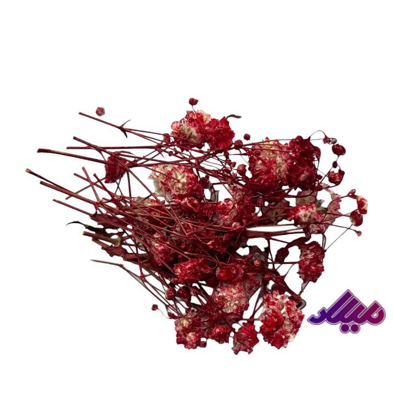 گل خشک ژیپسو قرمز G50