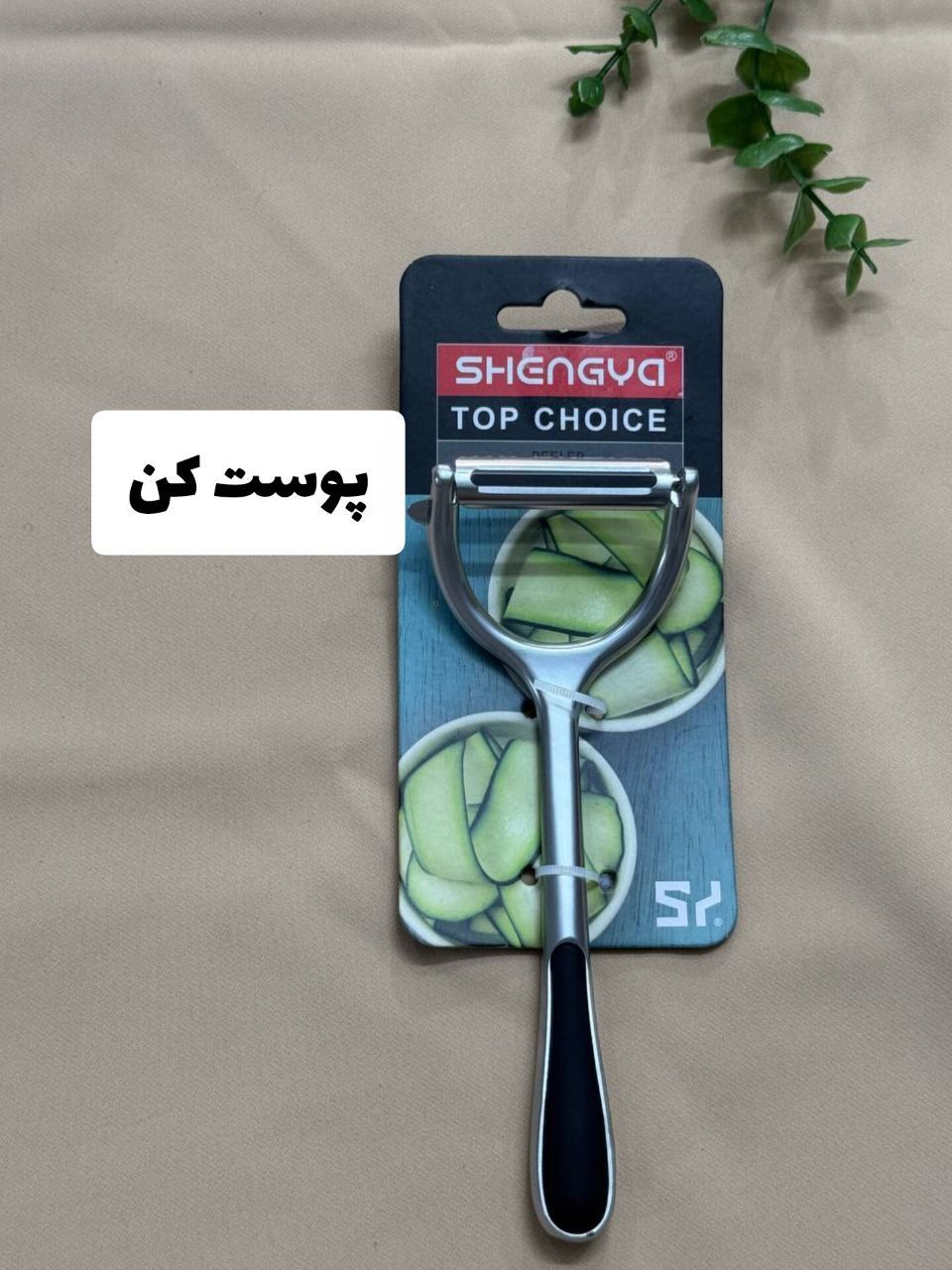 پوست کن شنگیا