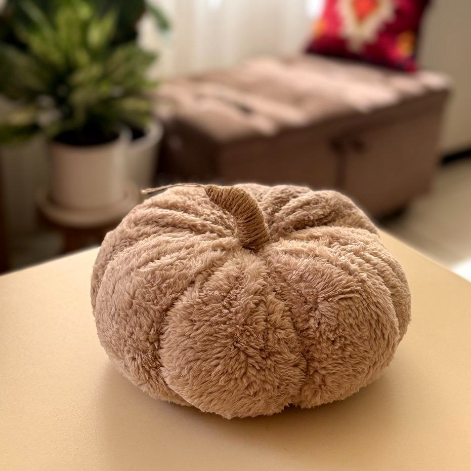 کدو مخملی جنس تدی