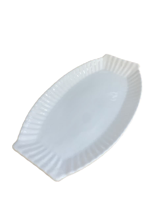 دیس ماهی