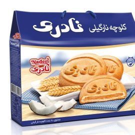 کلوچه ساک کلاسیک نارگیلی20عددی نادری 