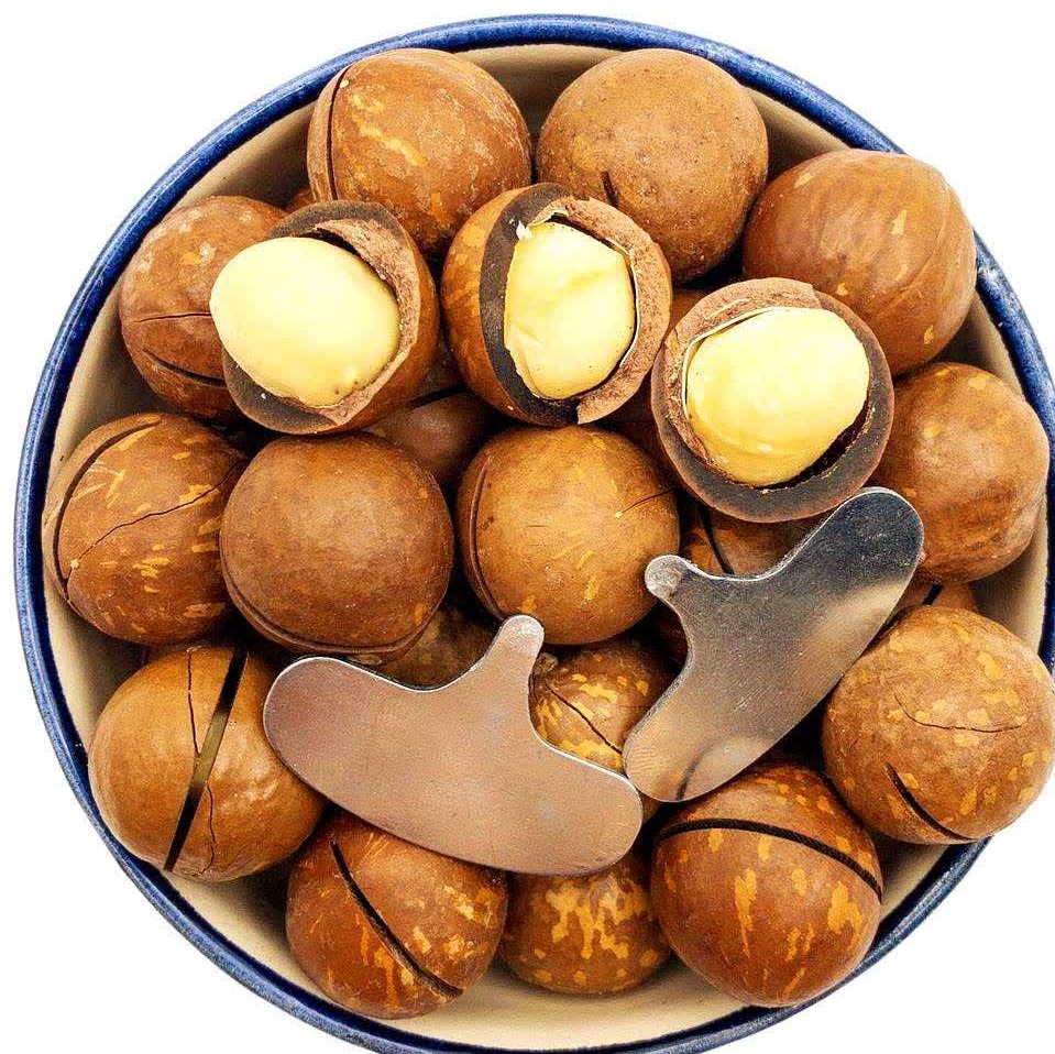 فندق ماکادمیا (150) گرمی خوانِ خشکبار 
