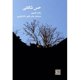 کتاب حس شگفتی (ناشر: جهاد دانشگاهی واحدمشهد - 173326)جدید