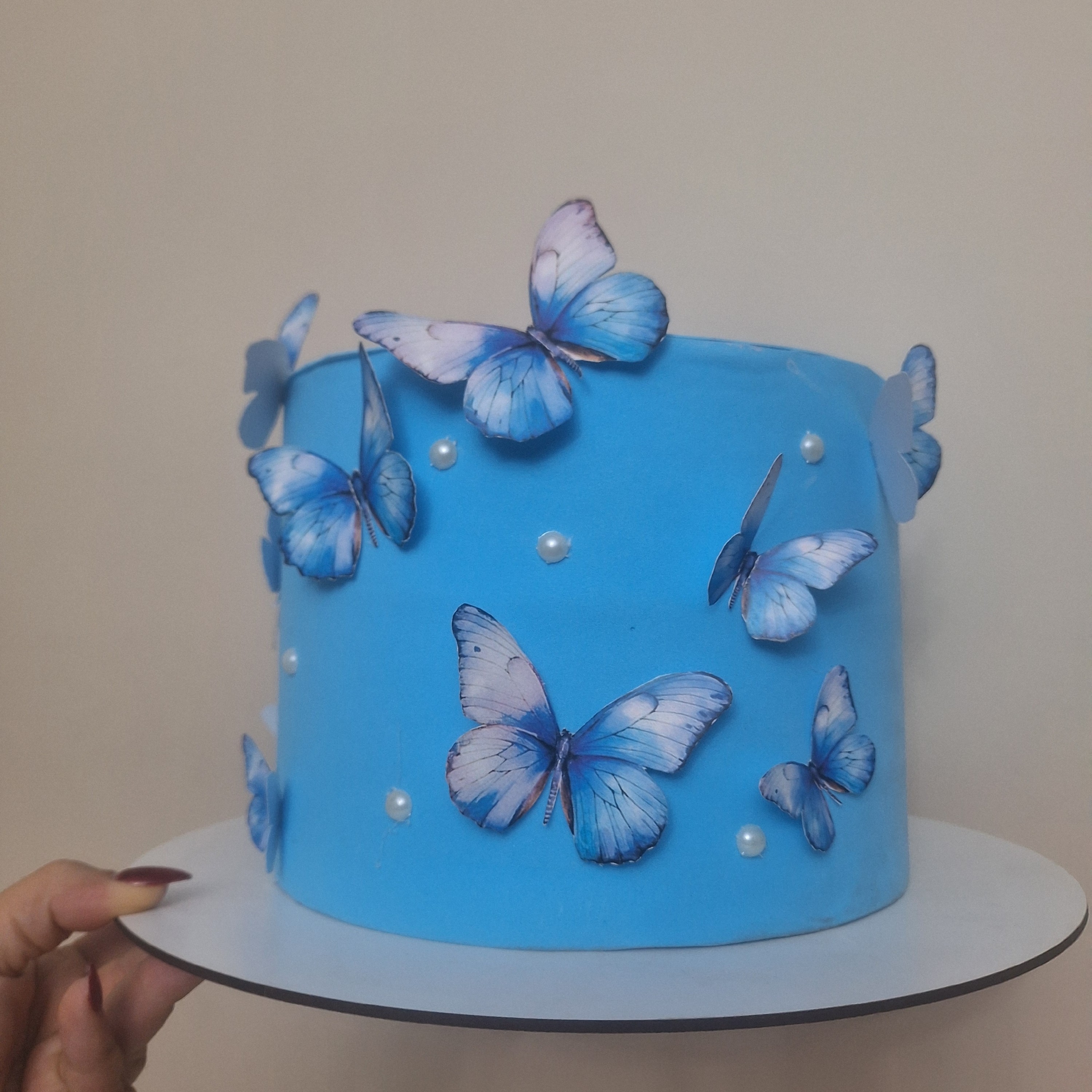 ماکت کیک پروانه ای آبی