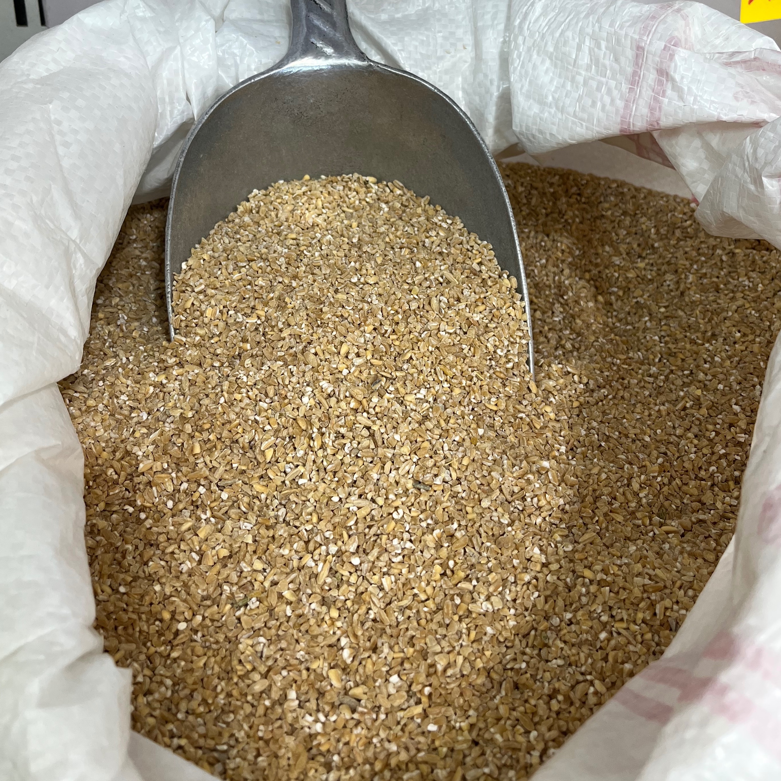بلغور گندم