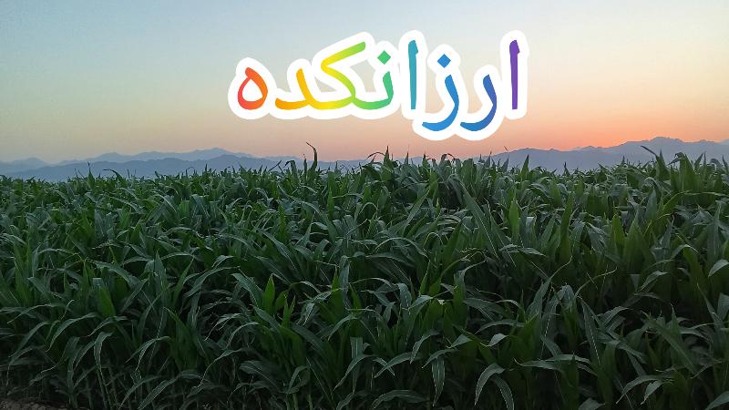 قبل از سفارش استعلام موجودی بگیرین🙏