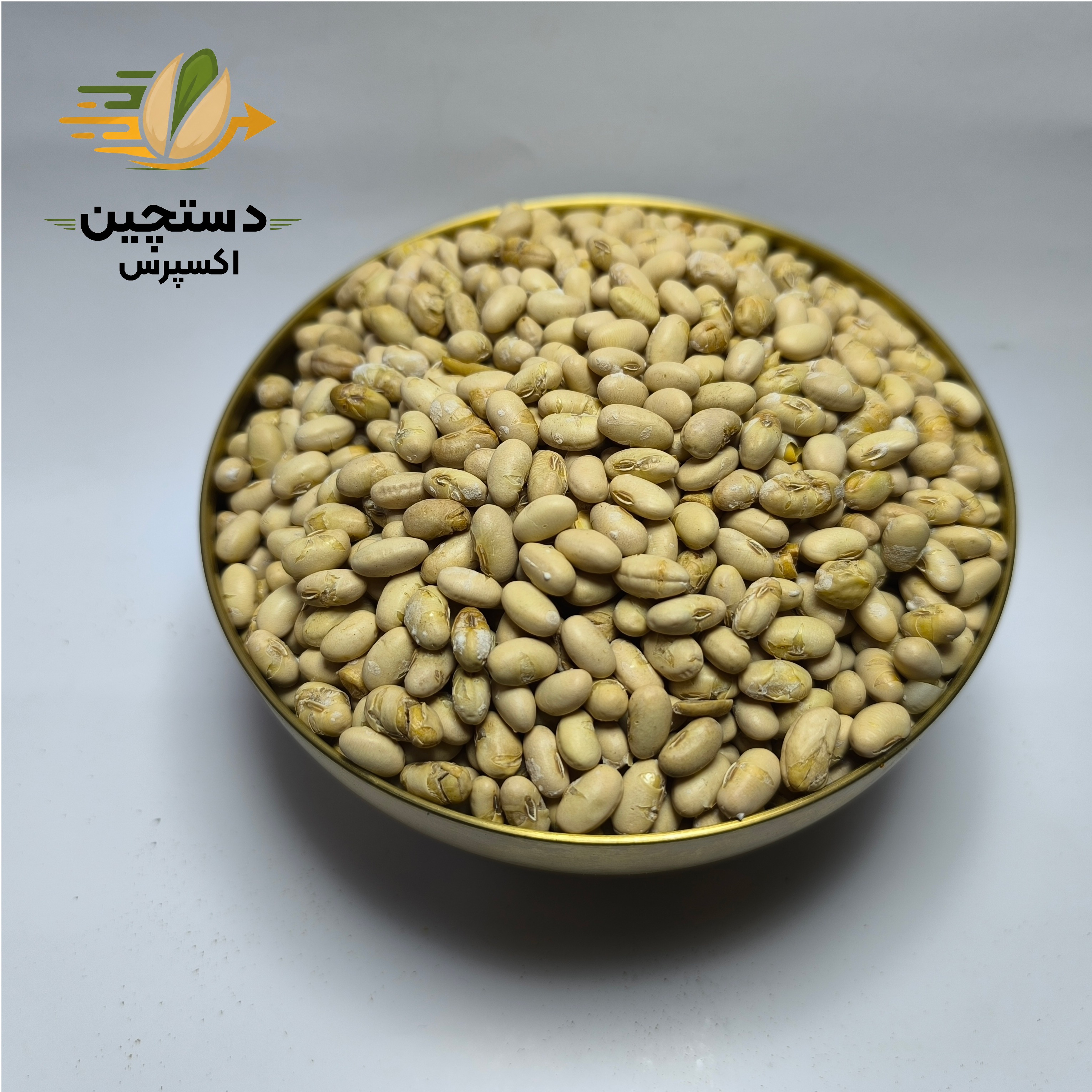 سویا آجیلی