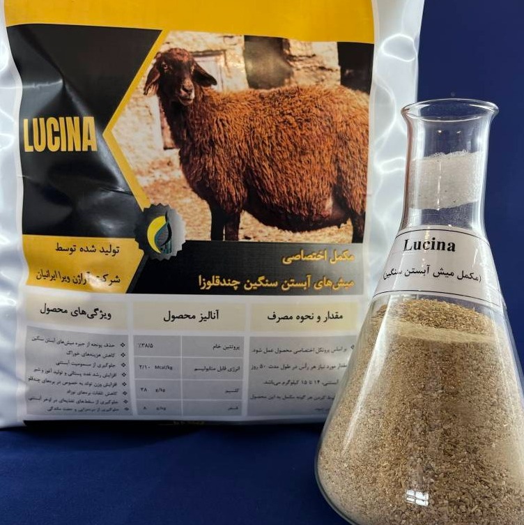 مکمل میش ابستن سنگین کاهش تلفات بره(لوسینا)جدید
