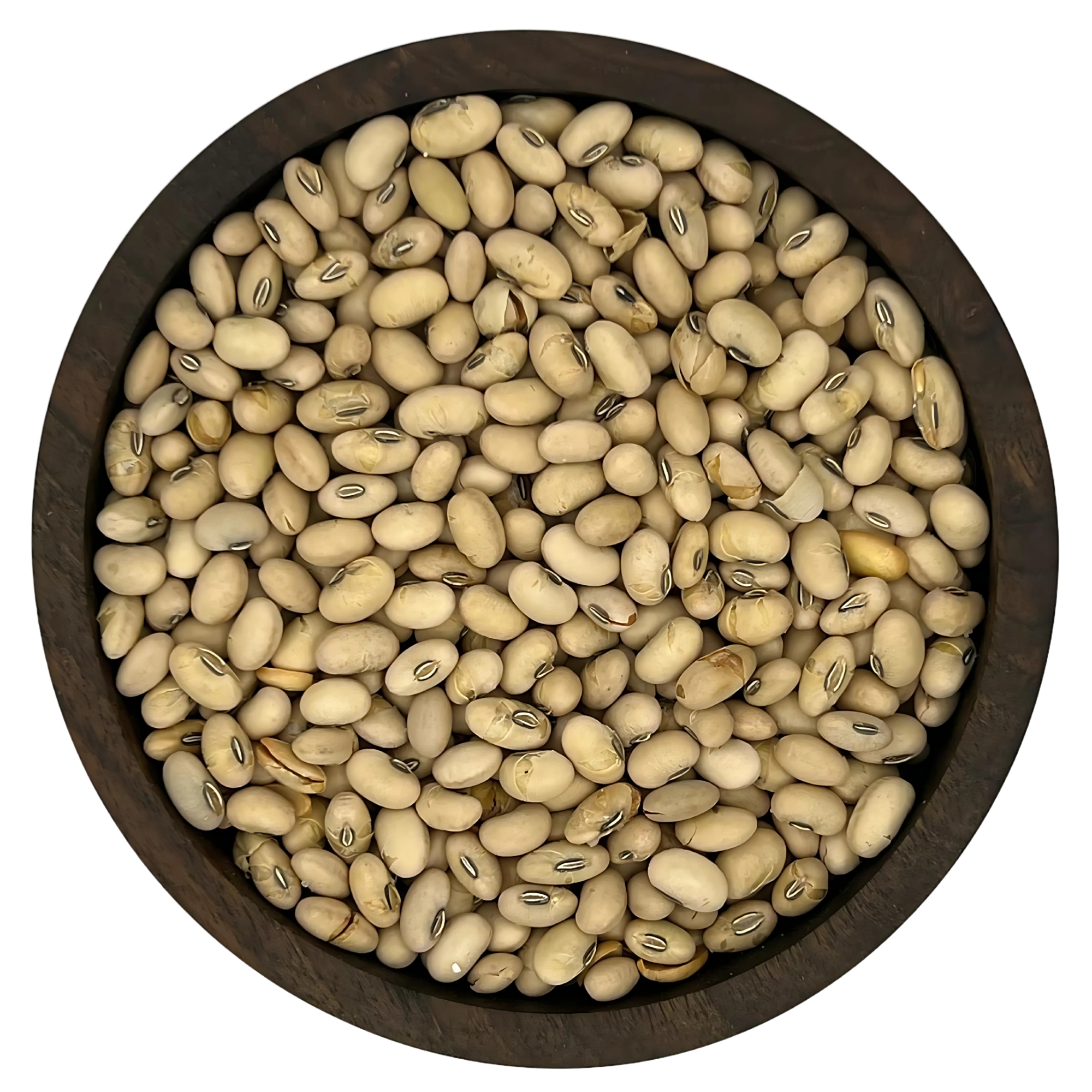 سویا آجیلی