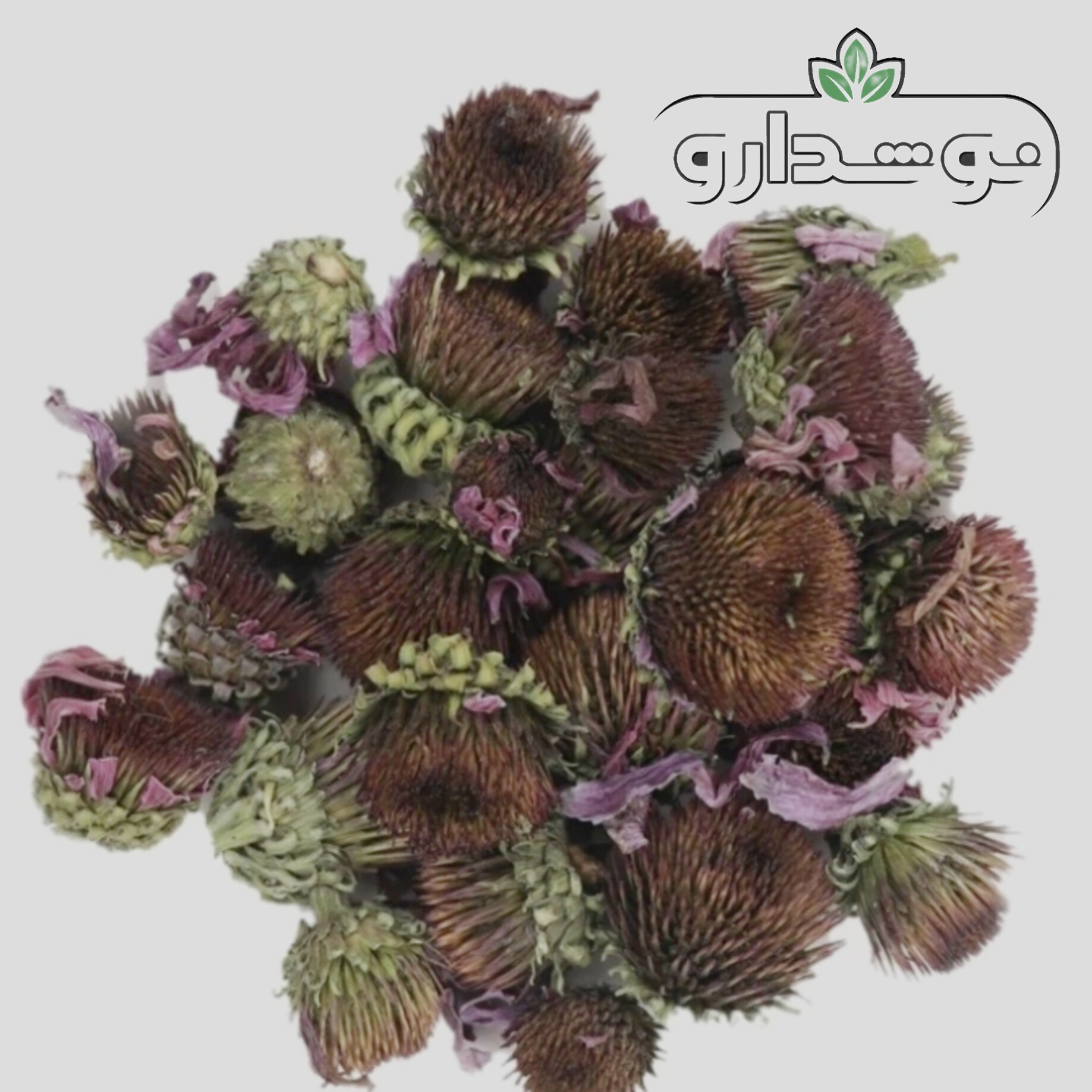 سرخارگل (اکیناسه) 10 کیلویی (ارسال رایگان) کارتن