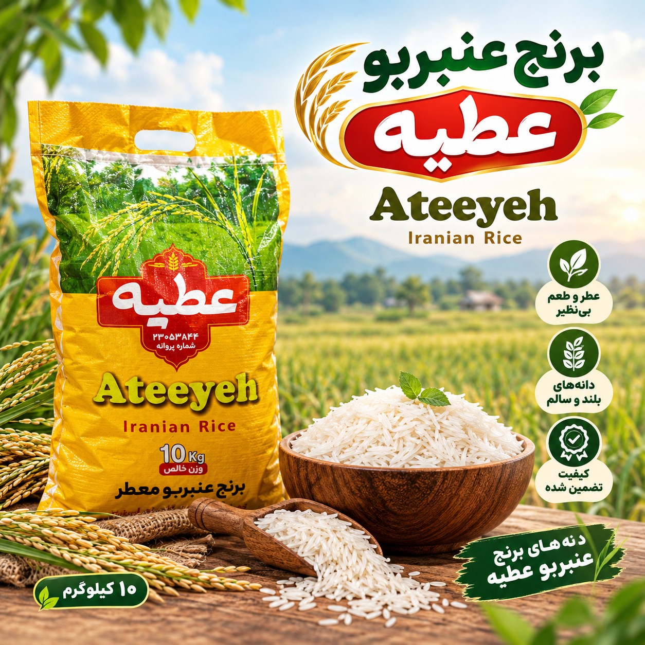 برنج عنبربو ممتاز عطیه