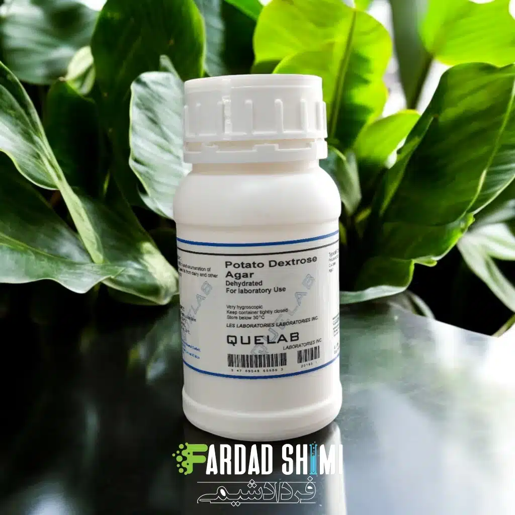 محیط کشت Potato Dextrose Agar کیولب