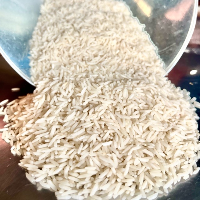 برنج دم سیاه صدری درجه یک گیلان منطقه شفت