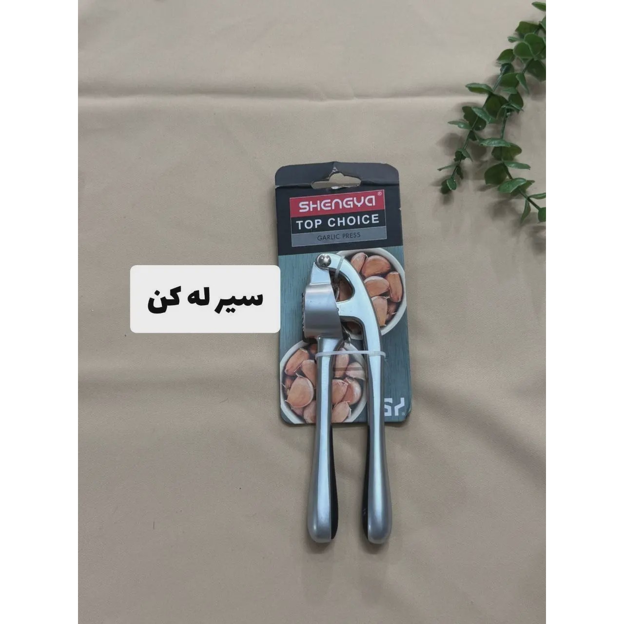 سیرله کن سیلورشنگیا