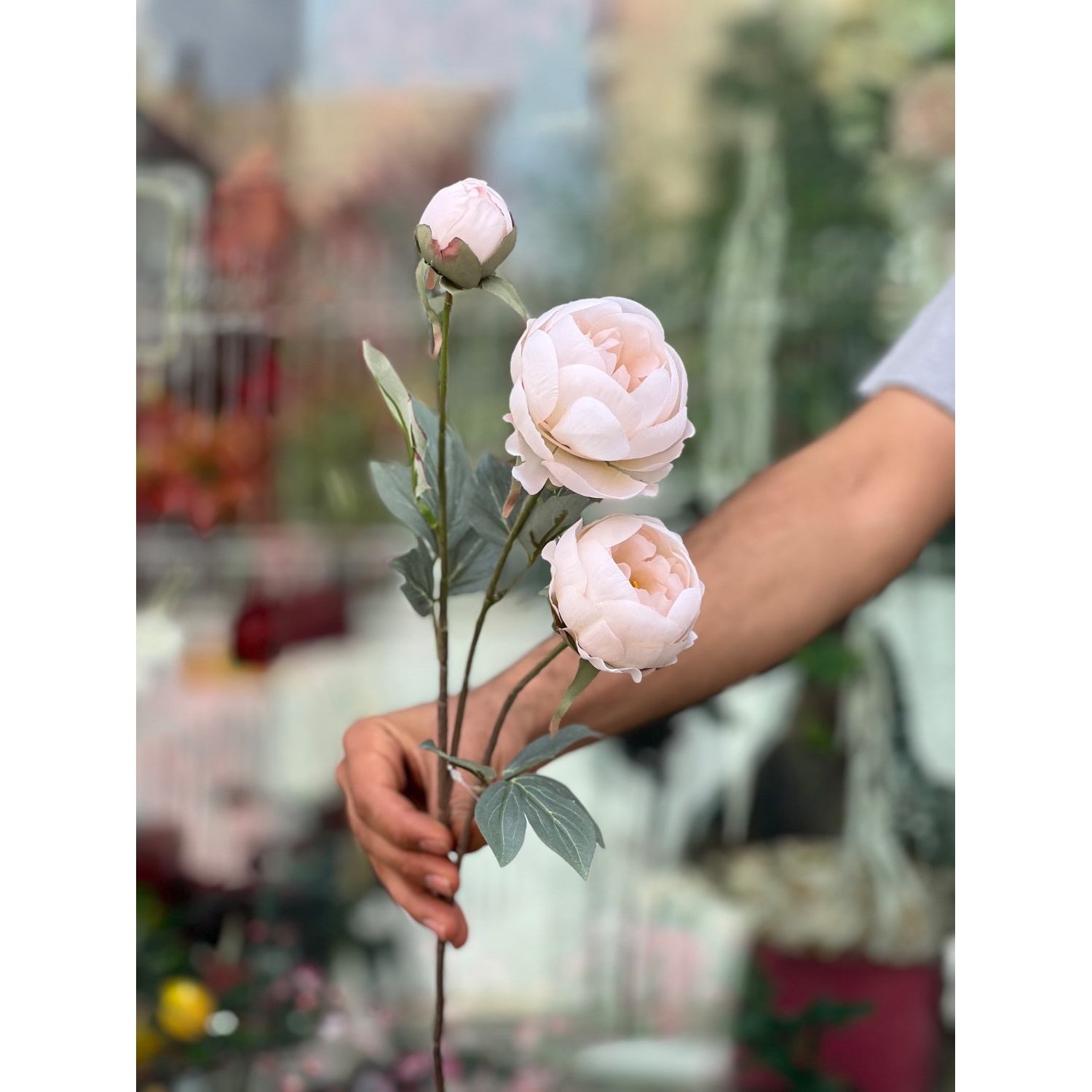 شاخه پیونی مصنوعی دو گل و یک غنچه وارداتی