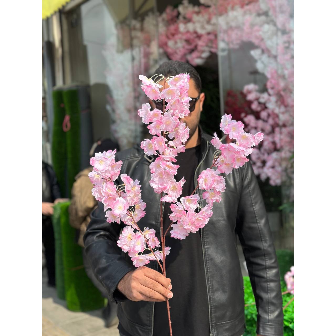 شاخه شکوفه هلو لبه صورتی