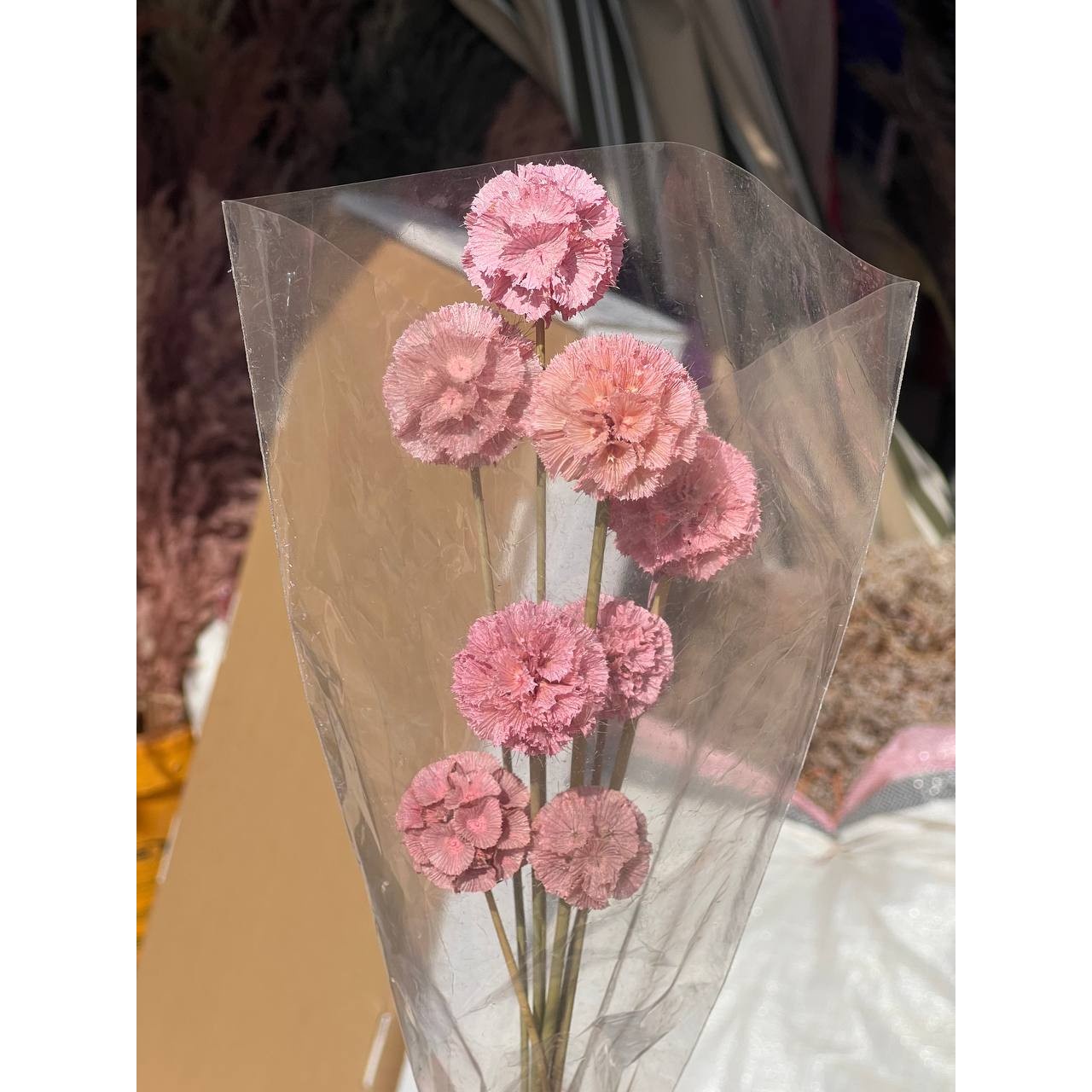 گل خشک طبیعی مریخی اسکابیوسا رنگ صورتی