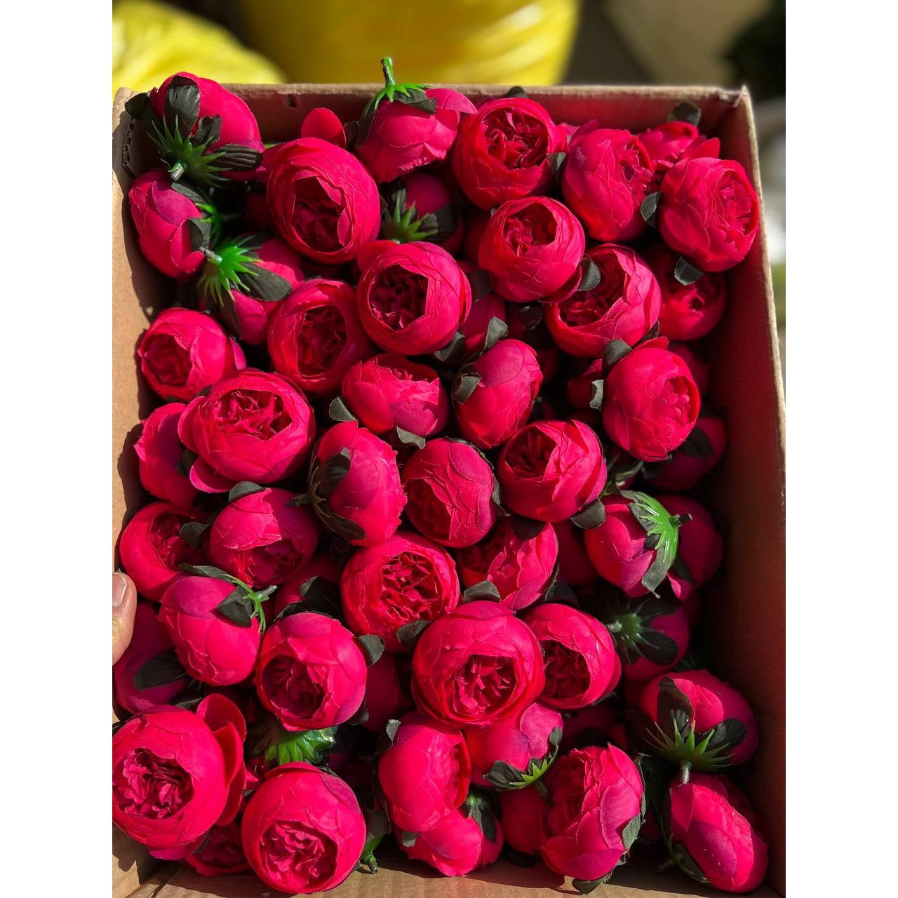 سرگل پیونی متوسط رنگ سرخ ابی 10عددی