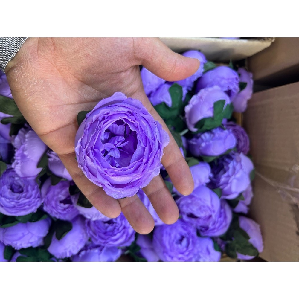 سرگل پیونی (پائونی) بزرگ رنگ بنفش 10عددی