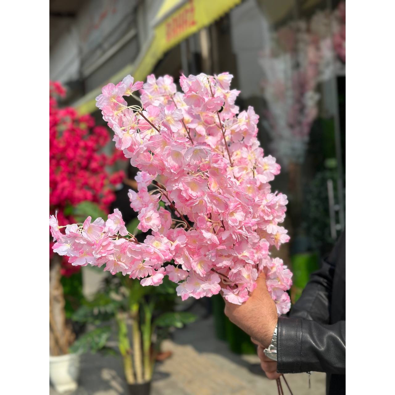 شاخه شکوفه هلو لبه صورتی