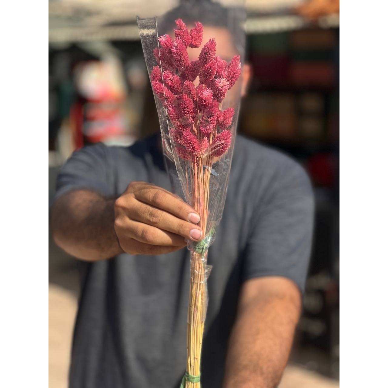 گل خشک توت فرنگی صورتی
