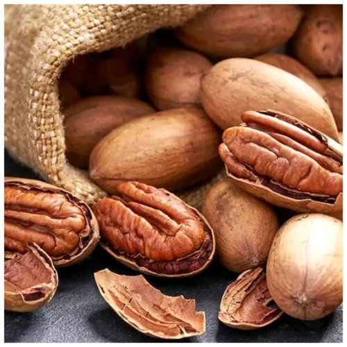 نهال گردو پکان گرمسیری پر محصول 