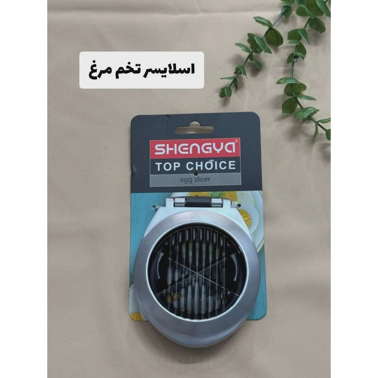 اسلایسر تخم مرغ سیلورشنگیا