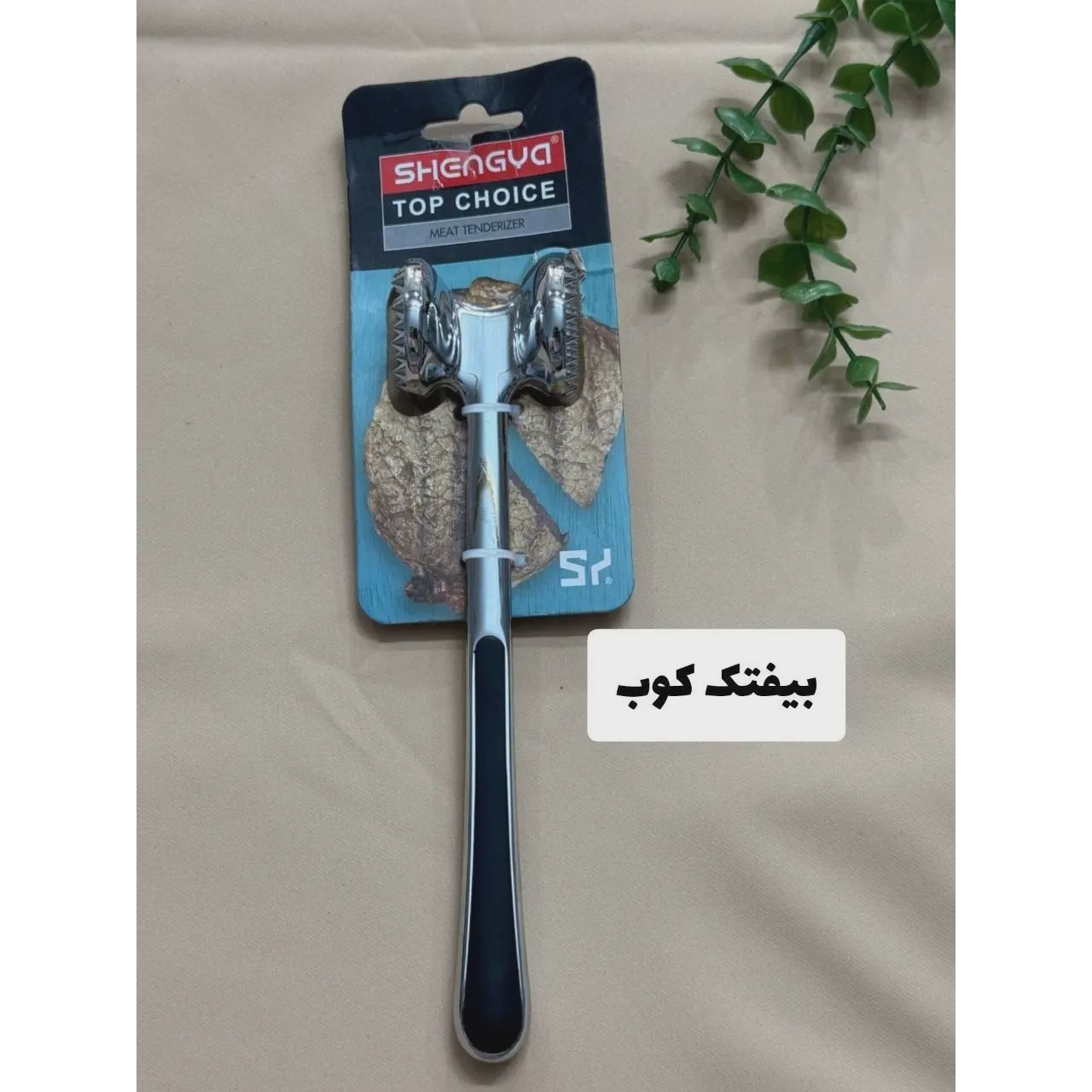 بیفتک کوب سیلورشنگیا