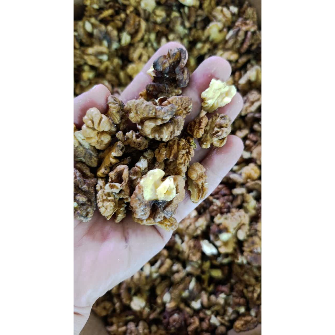 مغز گردو فسنجونی