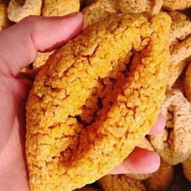 ترخینه بروجرد