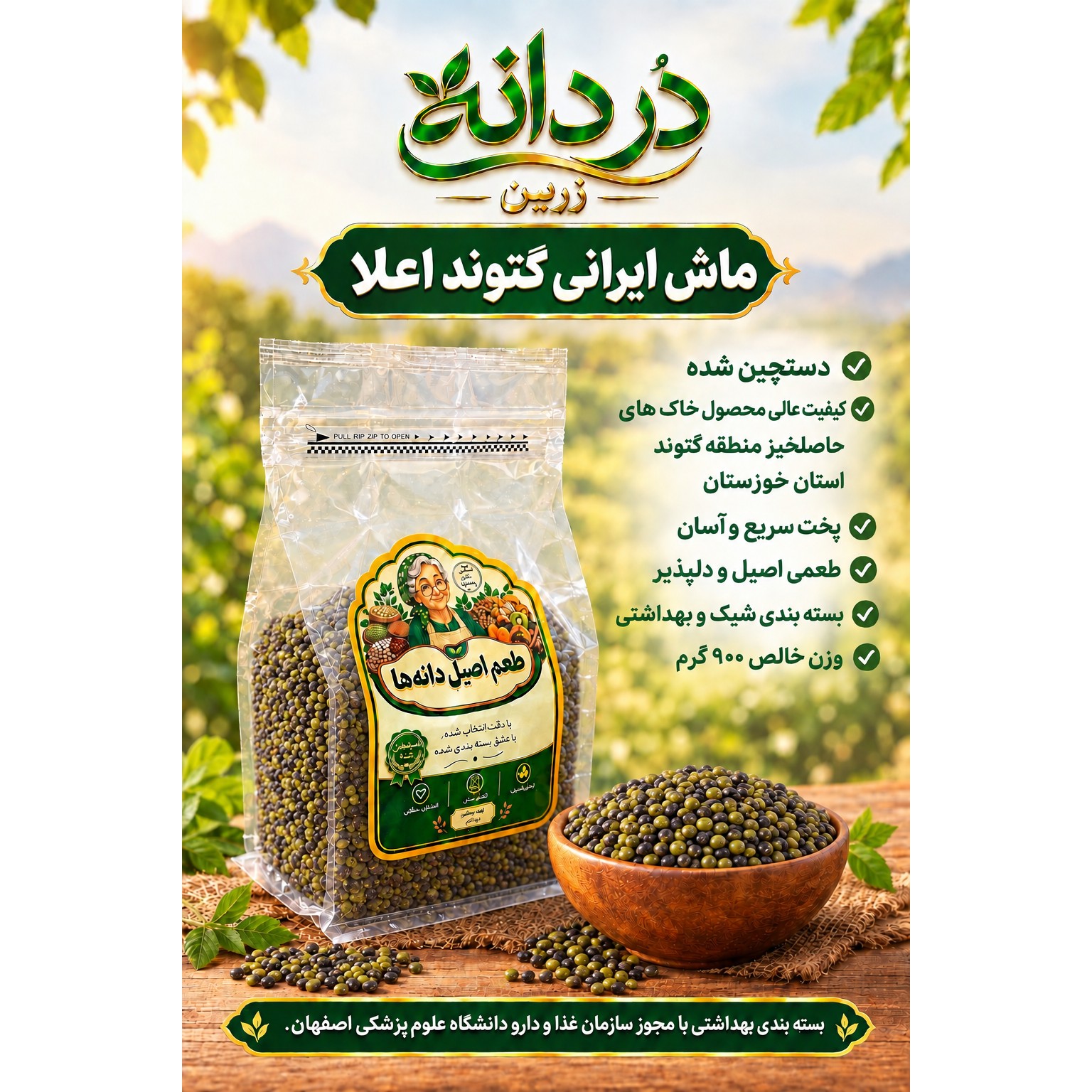 ماش ایرانی گتوند اعلاء دستچین شده