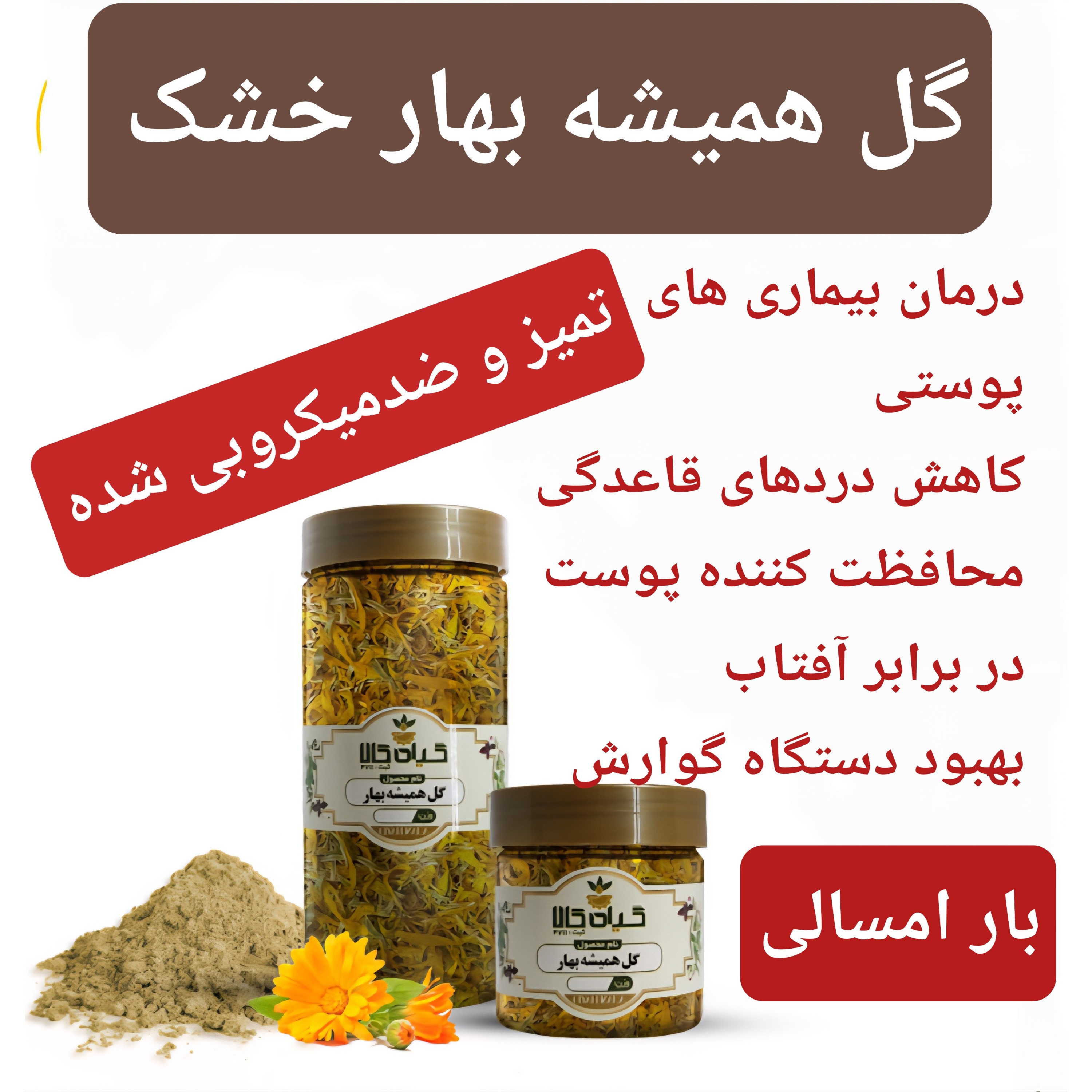 گل همیشه بهار با کیفیت ممتاز، 250گرمی