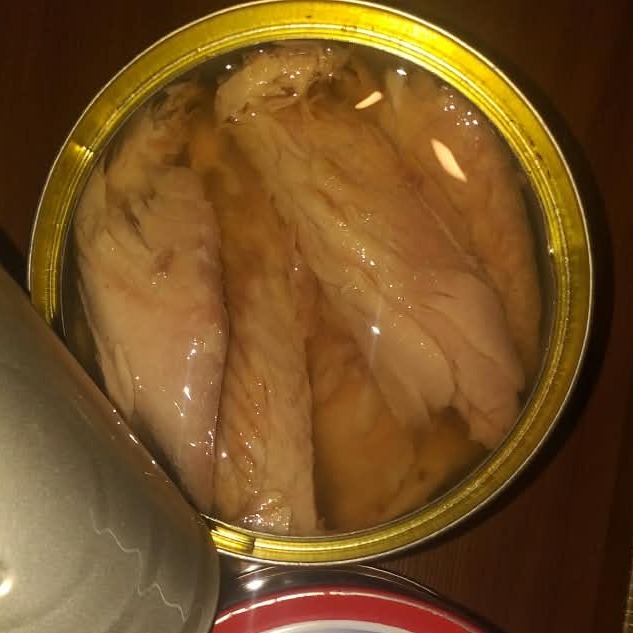  تن ماهی 
