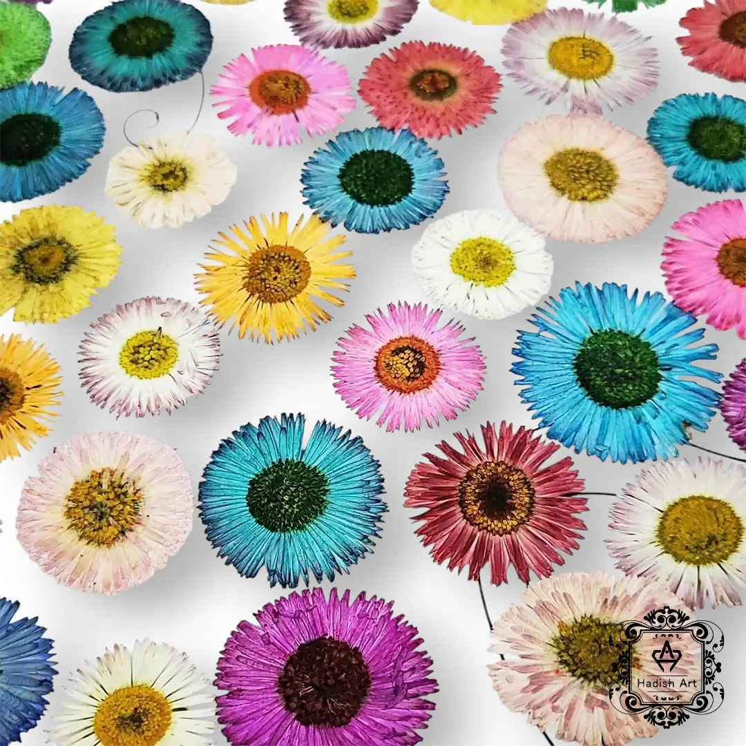 گل خشک پرسی مینا (پک 10 عددی)