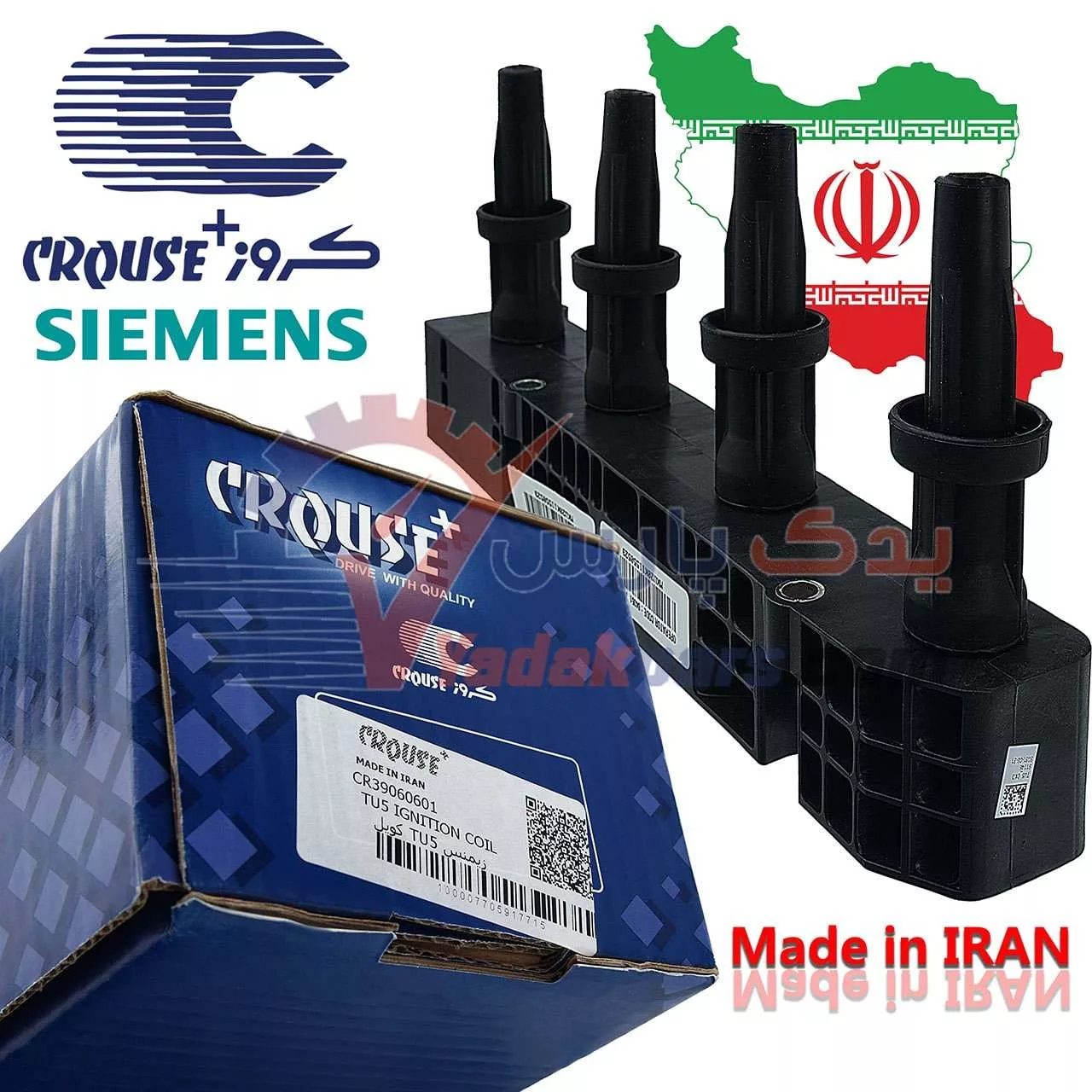 کوئل رانایی کروز