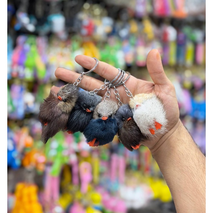 جاکلیدی جوجه محلی